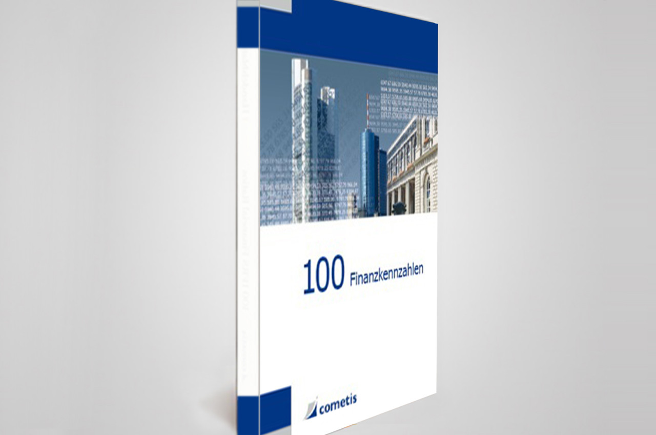 Sancovia &mdash; 100 Finanzkennzahlen (100 coeficientes financieros)