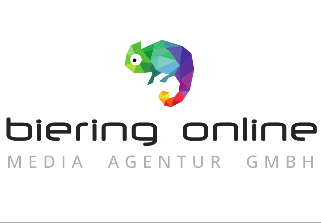 Logo van Beijing online media