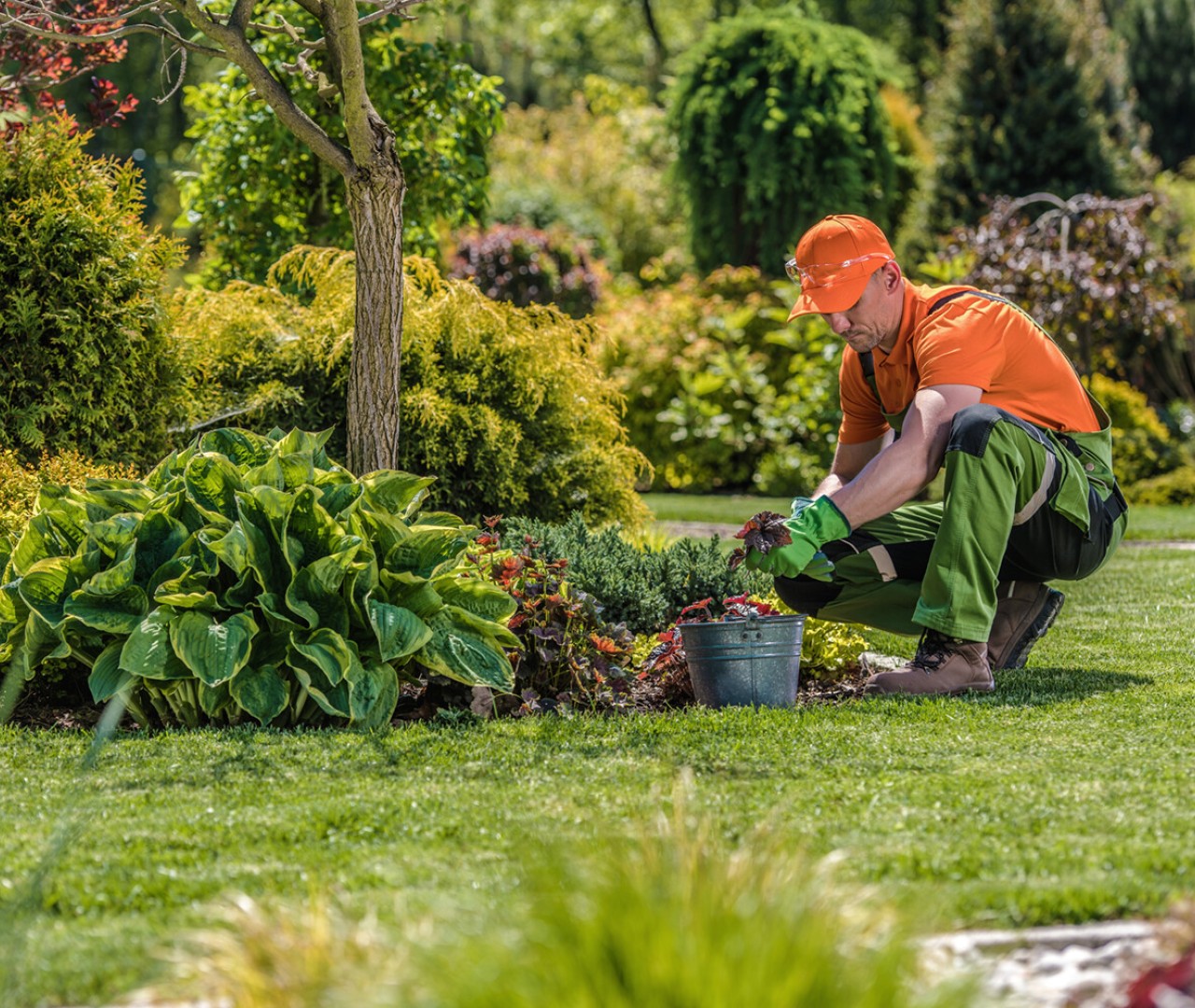 GARLA GRUPPE BETEILIGT SICH AN SCHLESER GARTEN- UND LANDSCHAFTSBAU GMBH