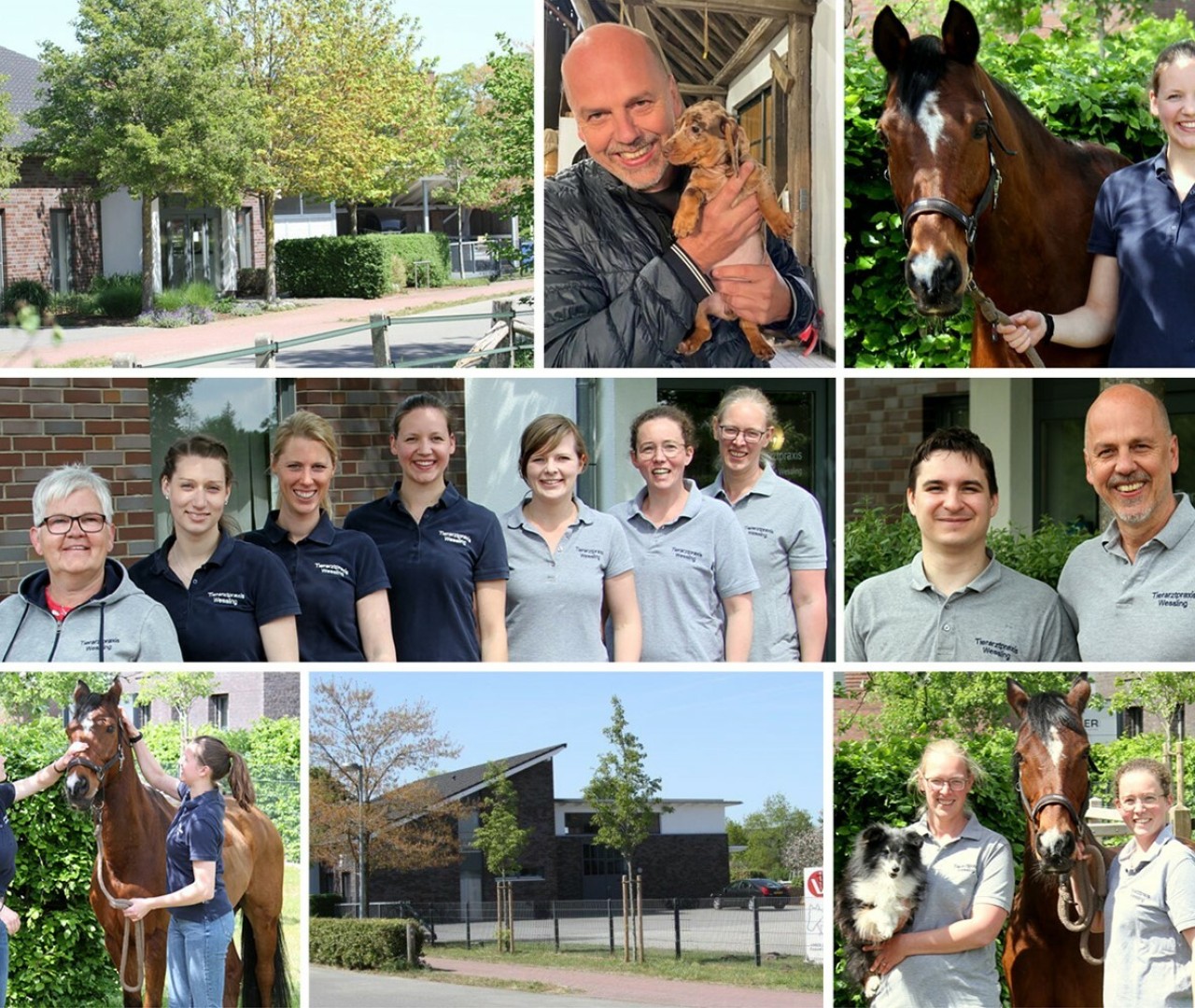 Altano Group takes a share in the veterinary practice Karl-Heinz Wessling
