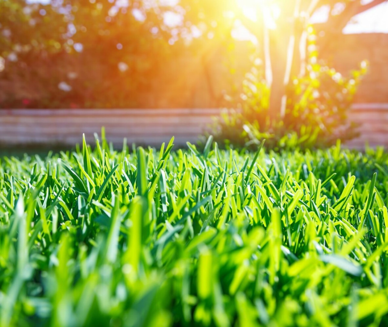 UCP ADQUIERE UNA PARTICIPACIÓN MAYORITARIA EN ERNI GARTENBAU & PLANUNGS AG