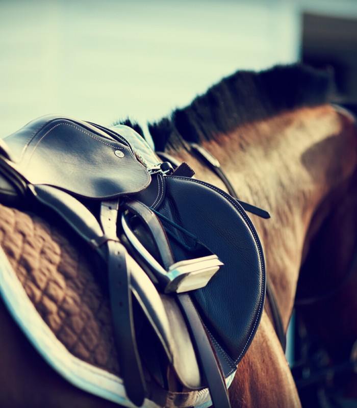 ALTANO GROUP ADQUIERE UNA PARTICIPACIÓN EN LA CLÍNICA VETERINARIA EQUINA EUTIN FISSAU GMBH